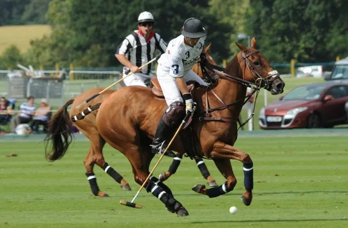Nietypowe odmiany polo