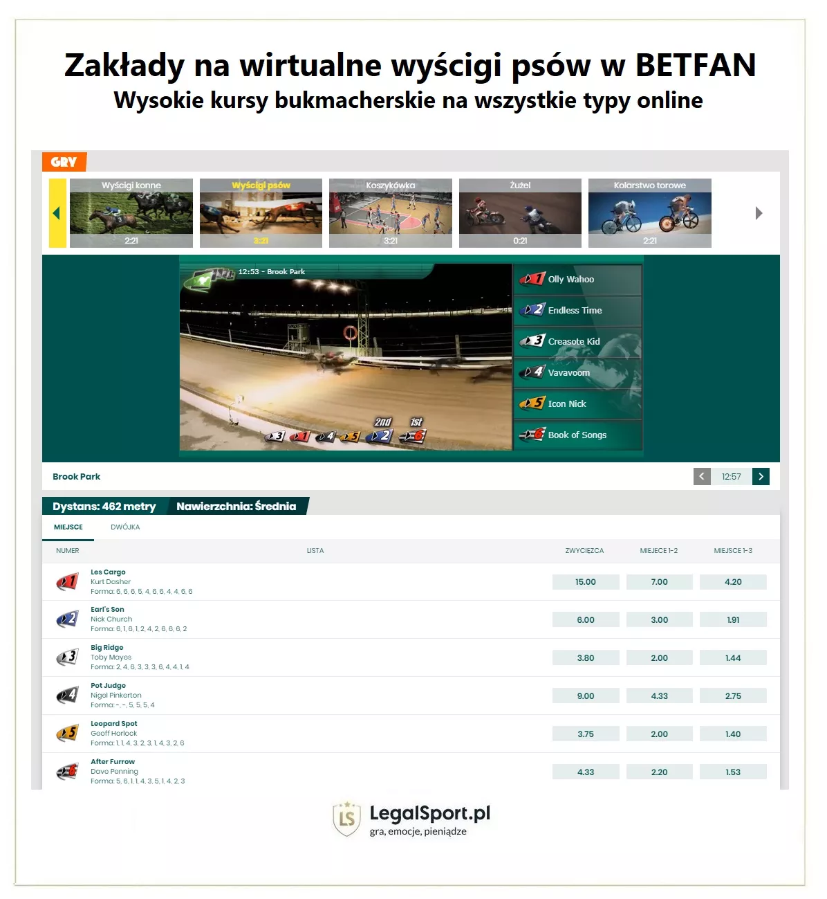 Wyścigi psów w BETFAN Zakłady Bukmacherskie - gry wirtualne 