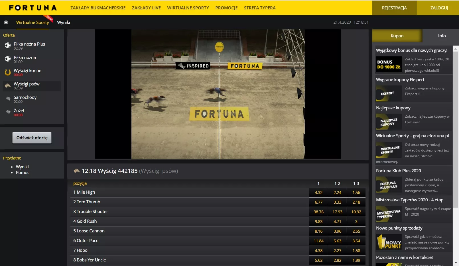 Zakłady na sporty wirtualne w Fortuna: wyścigi psów| StreamingTV gonitw, ciekawe kursy i pewne typy