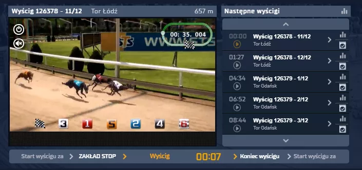 Wirtualne gonitwy psów w STS - wizualizacja wyścigu w transmisji STREAM