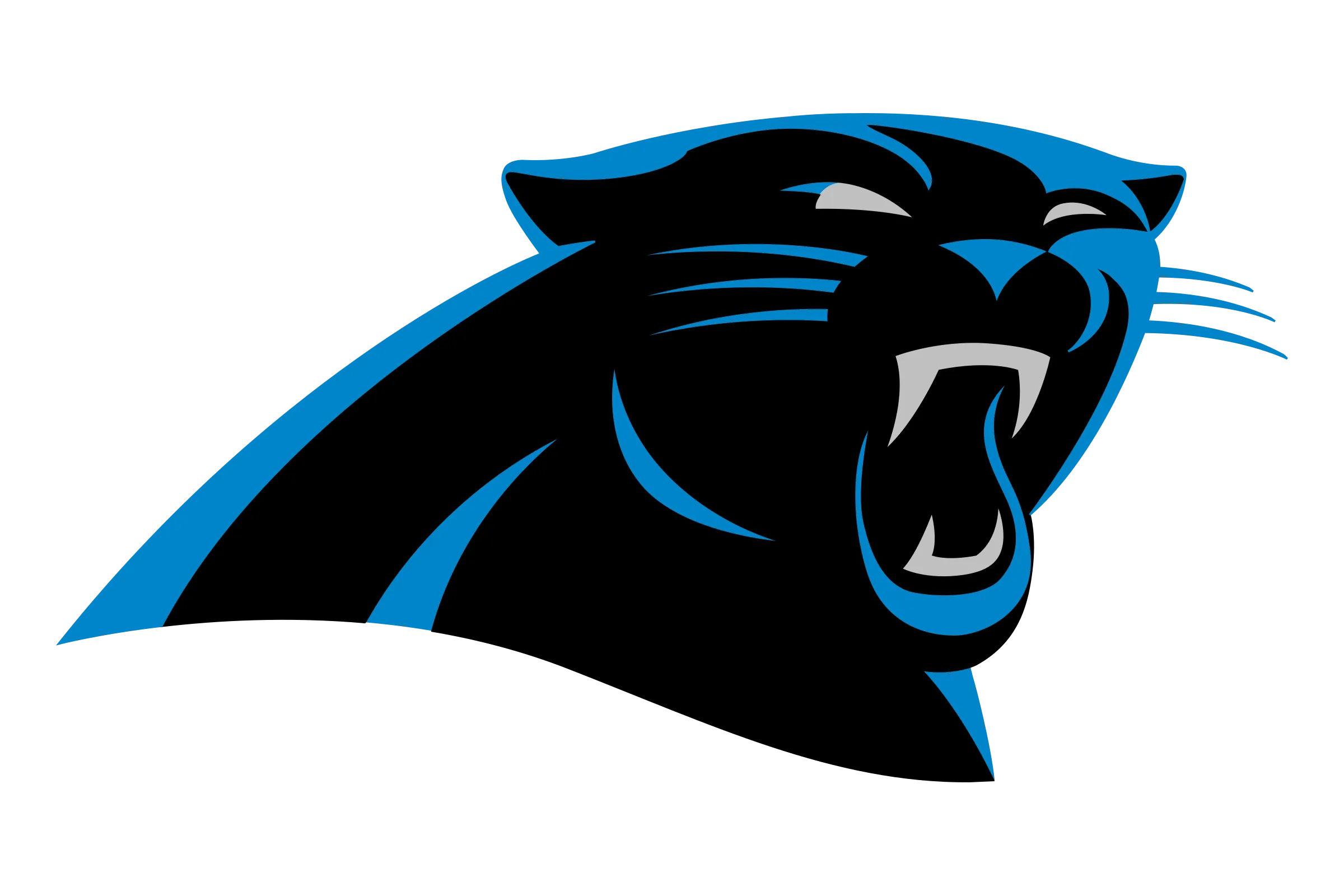  Carolina Panthers