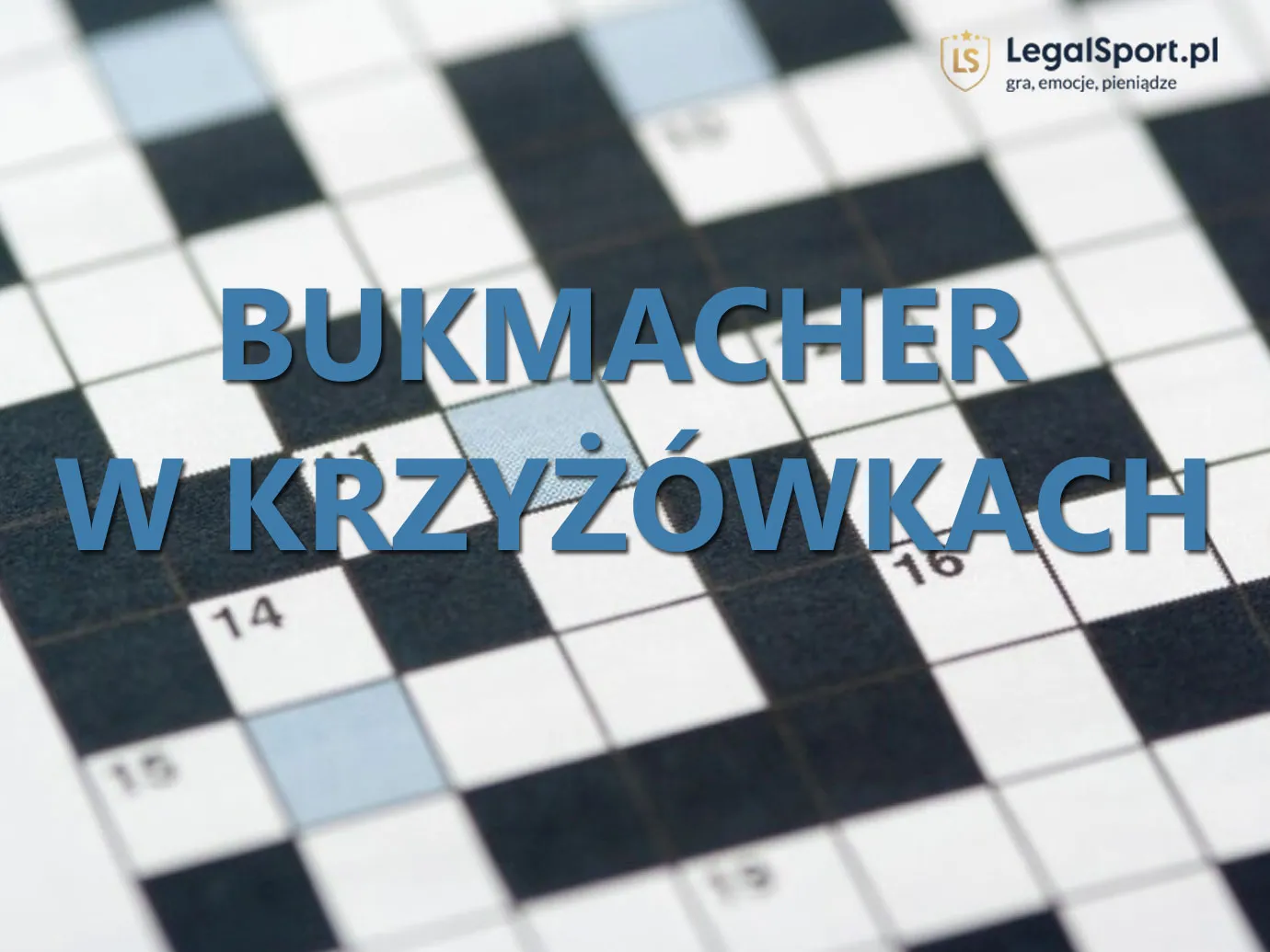 Bukmacher: hasło do krzyżówki