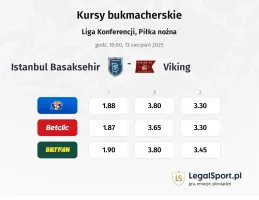 Kursy Istanbul Basaksehir - Viking