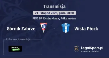 Górnik Zabrze - Wisła Płock gdzie oglądać? (21.11)