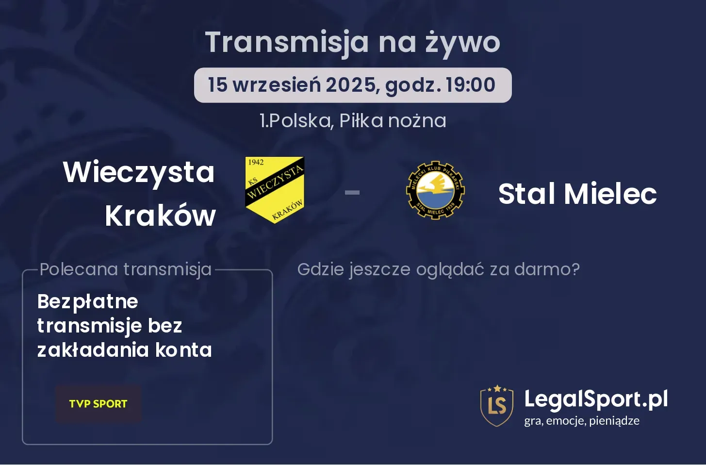 Wieczysta Kraków - Stal Mielec transmisja na żywo