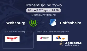 Wolfsburg - Hoffenheim gdzie oglądać?