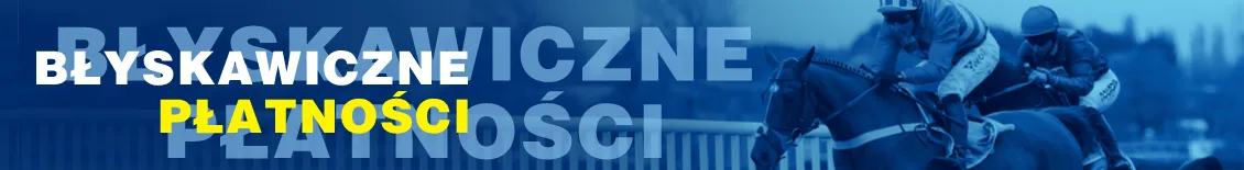 Funkcja błyskawicznych płatności u bukmachera Betcris