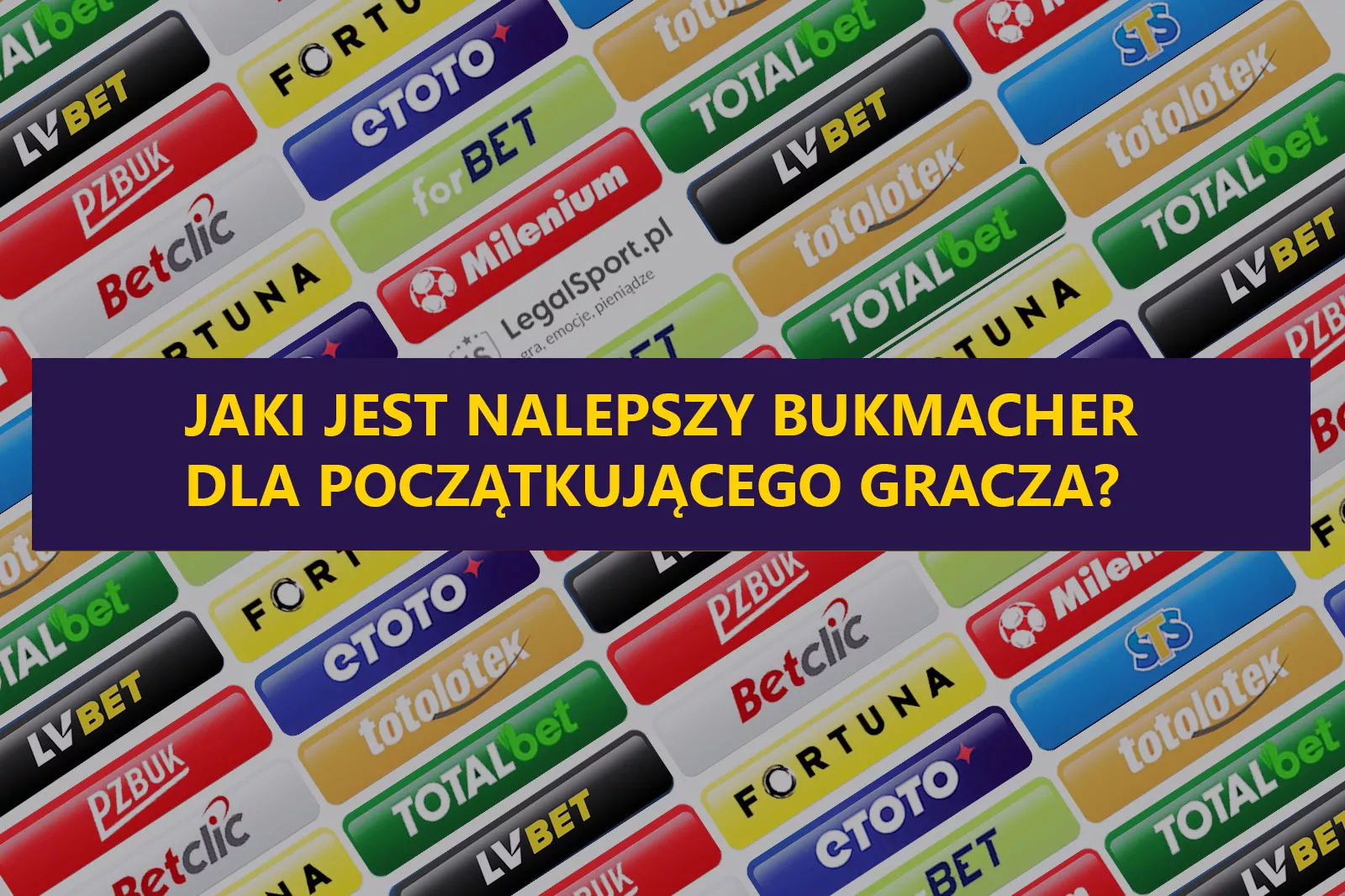 Najlepszy bukmacher dla początkujących