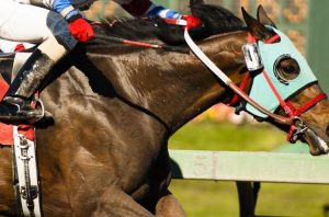 jockey siedzący na brązowym pędzącym koniu