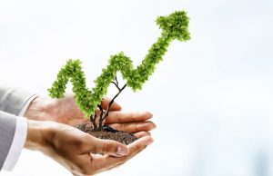 drzewko bonsai przedstawiające wykres rosnący